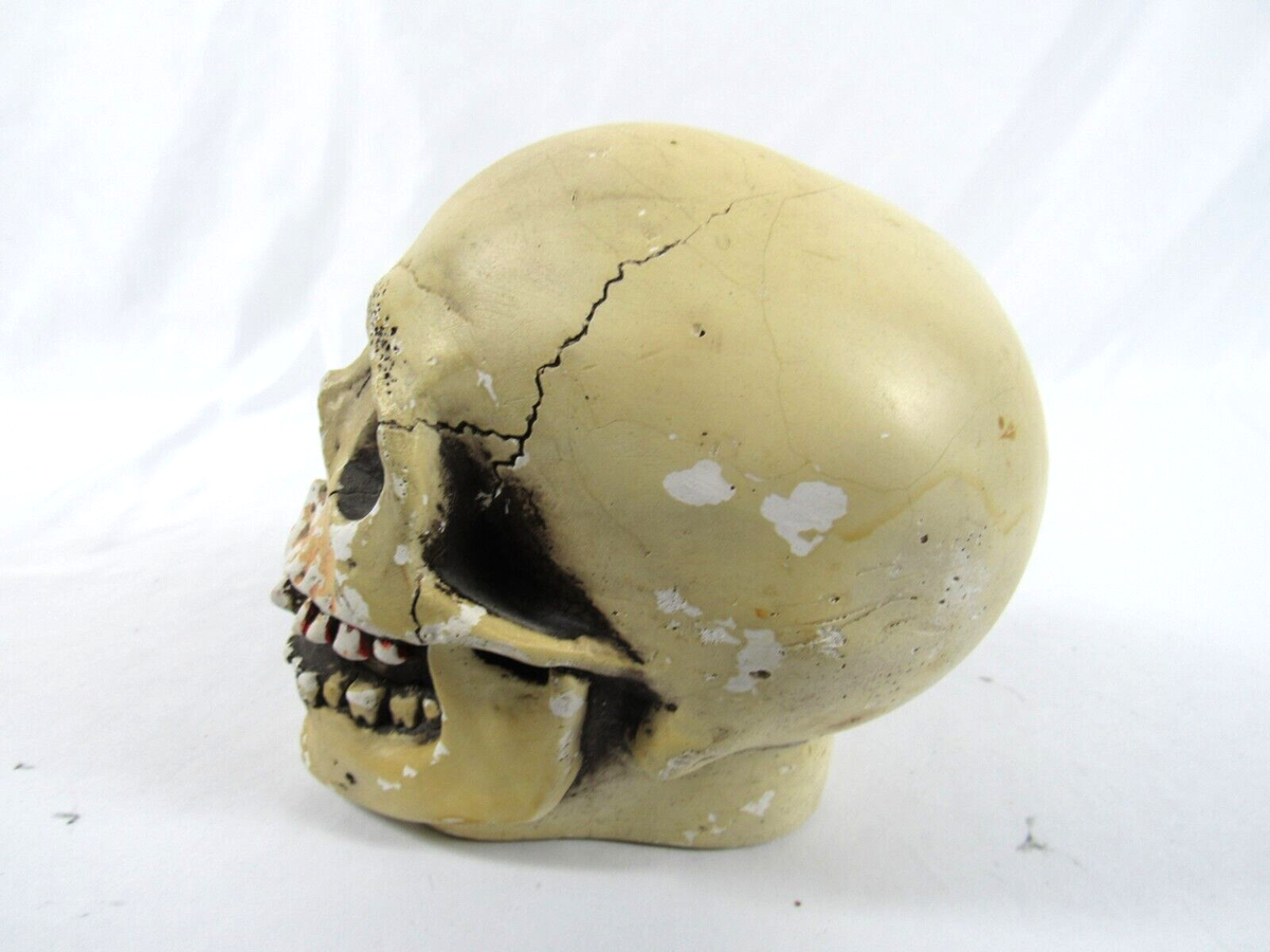 randotti ビンテージ　スカル　置物　ディズニー　髑髏　骸骨　義眼 Vintage Original 1974 Randotti Laughing Skull #847 Still
