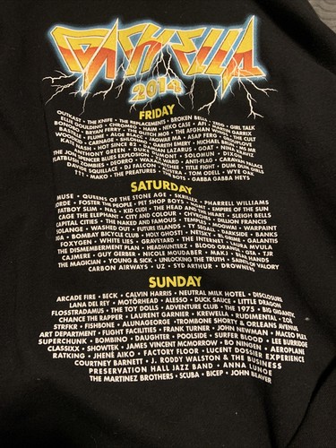 Coachella Festival 2014 Zip Up Hoodie - Gem