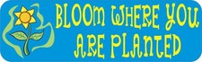 10in x 3in Blue Bloom Where You Are Planted Vinyl Sticker Vehicle Bumper Decal