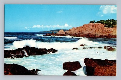 Point Lobos Monterey Peninsula California Postcard 207 Ed Christensen Curteich