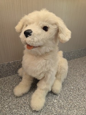 Furreal Friends Dog Cookie Interactive Puppy 2010 Hasbro 12''