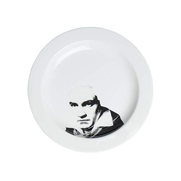 Interesting Dishes Face Dish Beethoven San2208-1