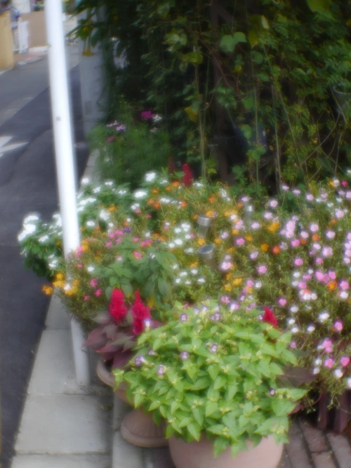 Yasuhara MOMO 100 43mm f/6.4 Soft Focus Pancake Lens for Nikon F Mount Camera - Image 4 of 4