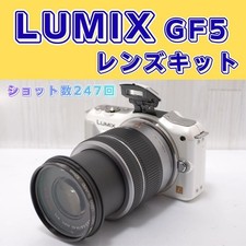 Fotocamera mirrorless LUMIX GF5 Shot Count 247 buone condizioni funzionante