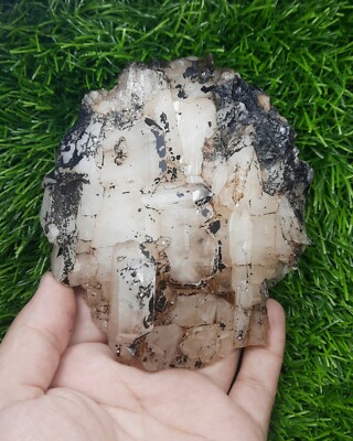 Natural Faden Quartz Cluster With Black Iron Coated & Unique Formation From Pak.