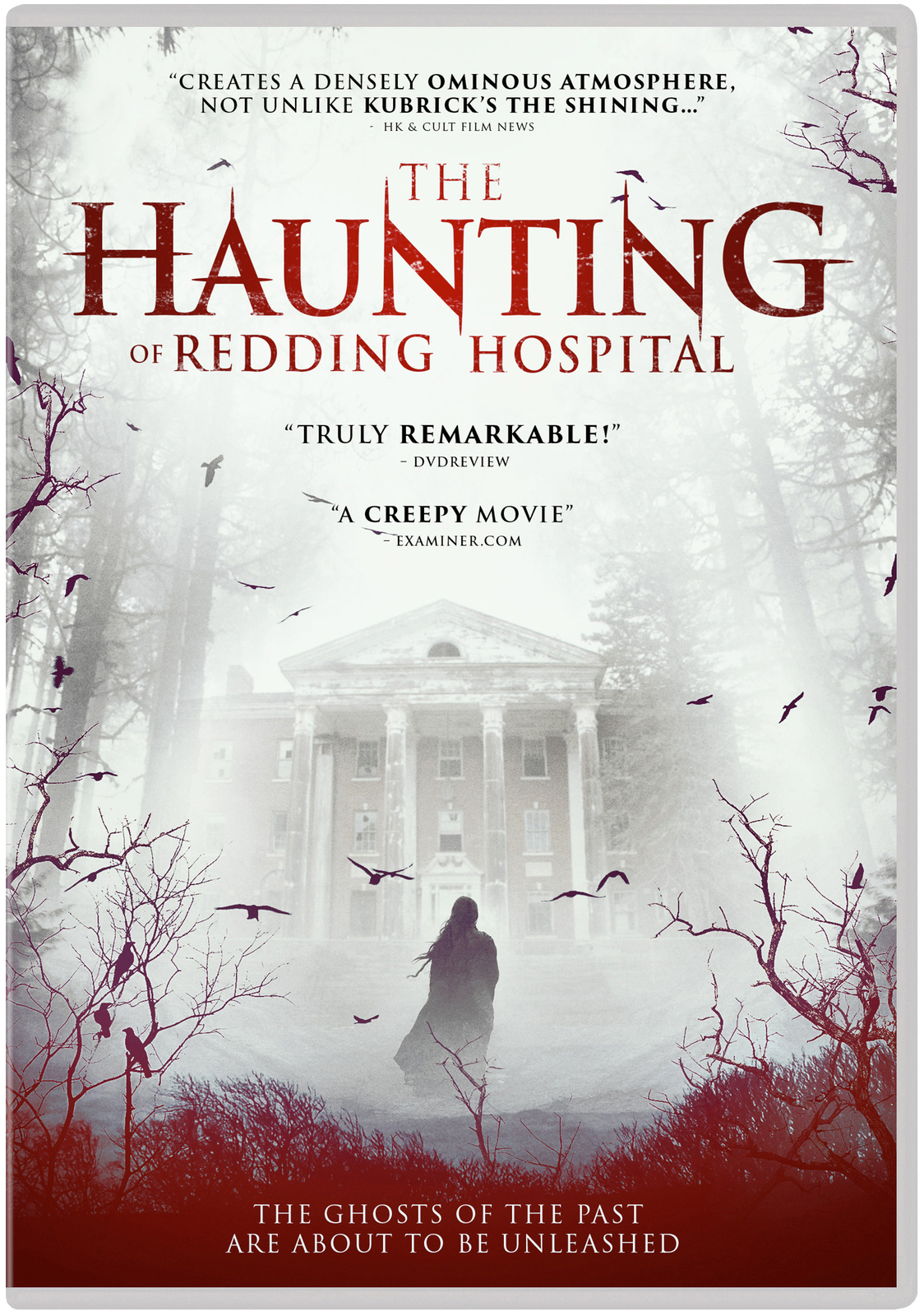 The Haunting of Redding Hospital (DVD) John Lee Ames Holland Roden Inbar Lavi
