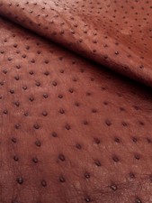 Ostrich Leather Skin Leather Burnt Umber color Saddle Finish