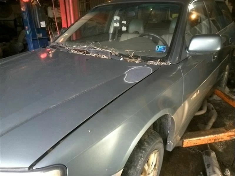 Шасси ECM круиз-контроль правая приборная панель подходит для 03-06 BAJA 88897 - Изображение 2 из 4