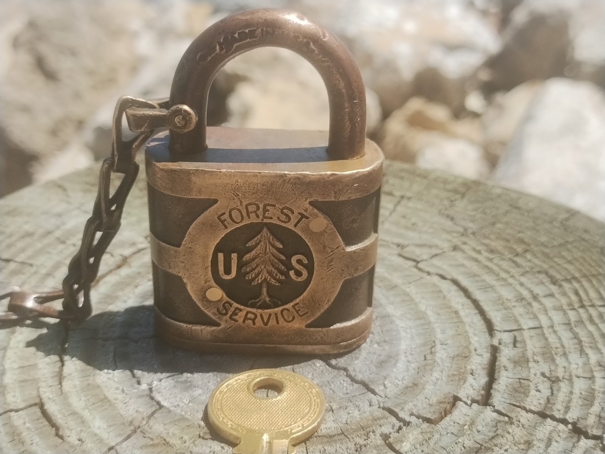 【15lbs 4oz】 FOREST LOCK Vintage US Forest Service Yale Pine Tree Brass Lock with Key