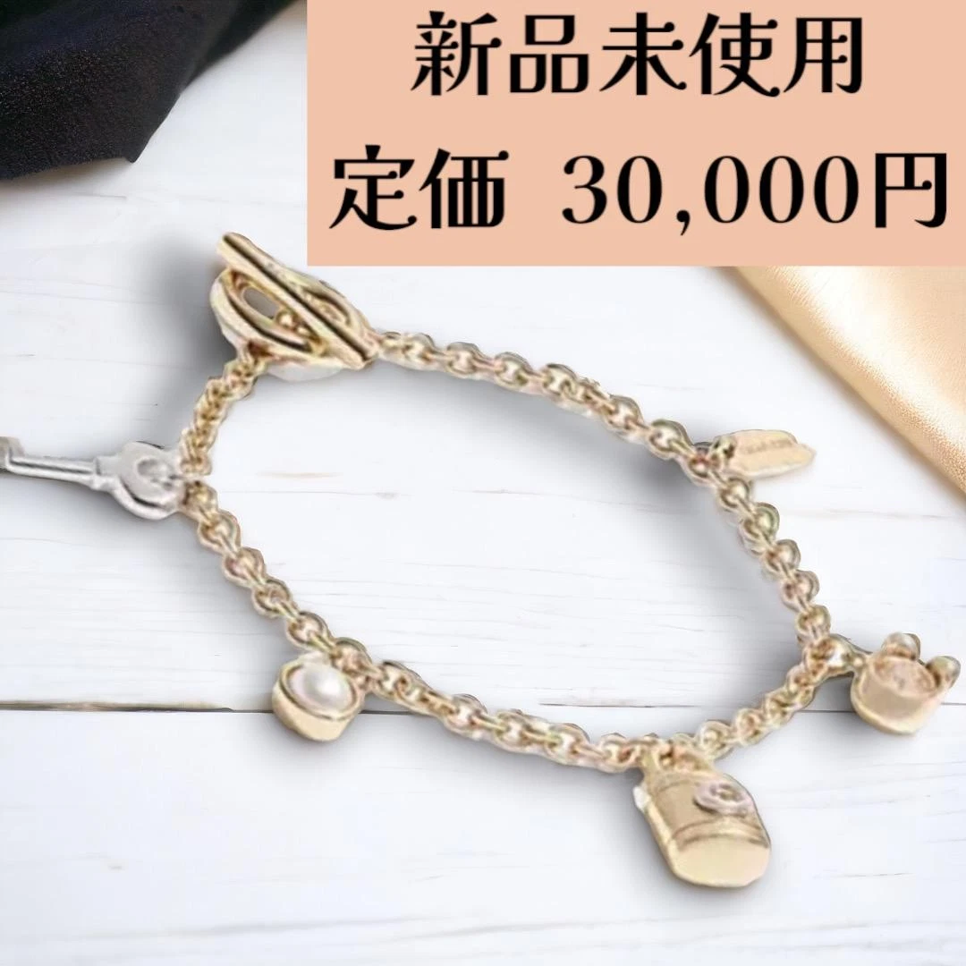 Bracciale Coach Lucchetto Chiave Charm Nuovo E Mai Usat Modaaente Attr Rarono