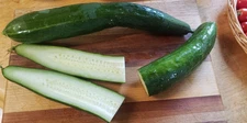 Jibai Shimoshirazu  Japanese Cucumber (20 Seeds) Free Shipping,crisp and sweet!