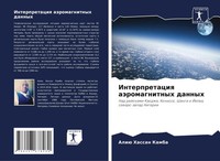Aliü Hassan Kamba | Interpretaciq AäRomagnitnyh Dannyh | Taschenbuch | Russisch