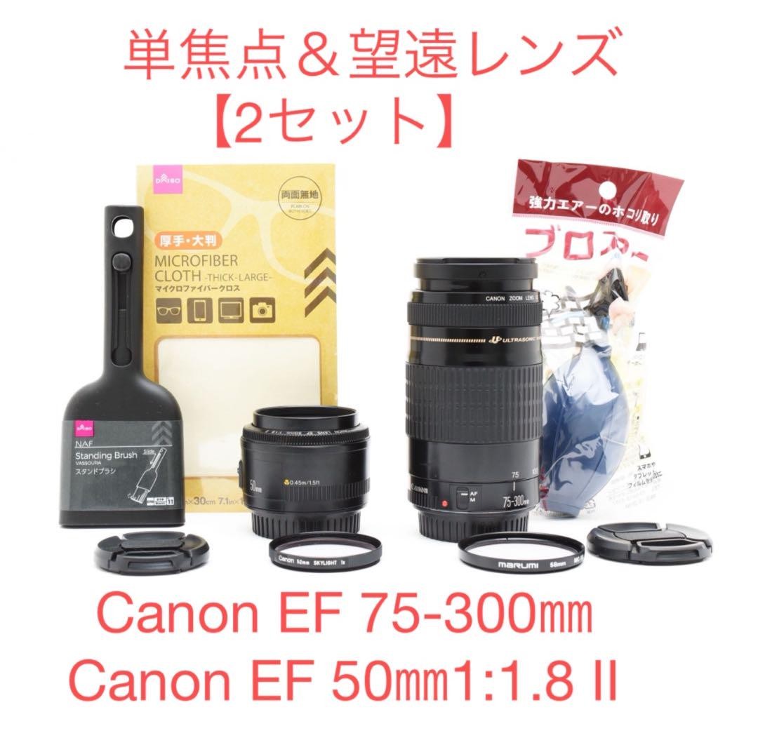 CANON EFズームレンズ28~80mm、75~300mm、2本セット・美品 2本セットCanon EF 28-80㎜/Canon EF 75-300㎜ 2 sets Canon