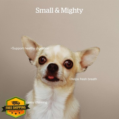 Now Fresh Grain-Free Small Breed Dry Dog Food with Turkey, Salmon and Duck, H...