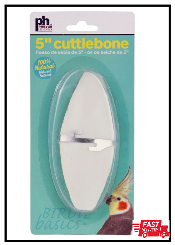 Prevue Pet Products Bpv1143 5-Inch Bird Cuttlebone, Medium
