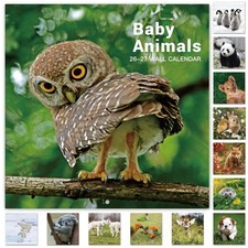 2026-2027 Calendar - 18 Month Baby Animals Wall from July...