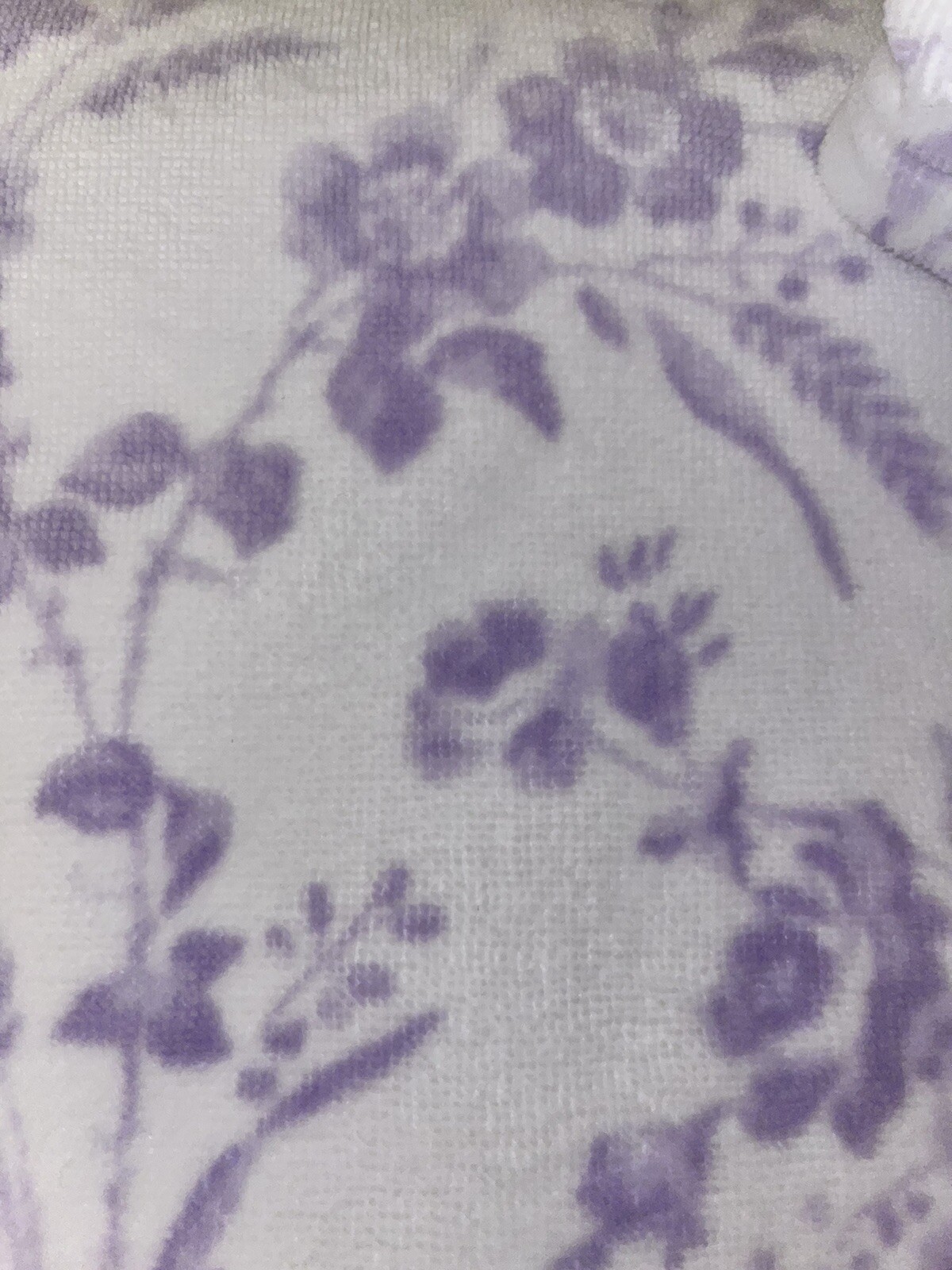 Picture 13 of 14