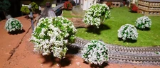 10 White Blooming Trees, Fruit Per 5 Piece 40 and 3 5/32in High; Landscaping