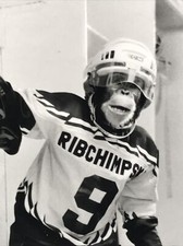 2000 Most Valuable Primate Jack Monkey Hockey Press Photograph Publicity Still