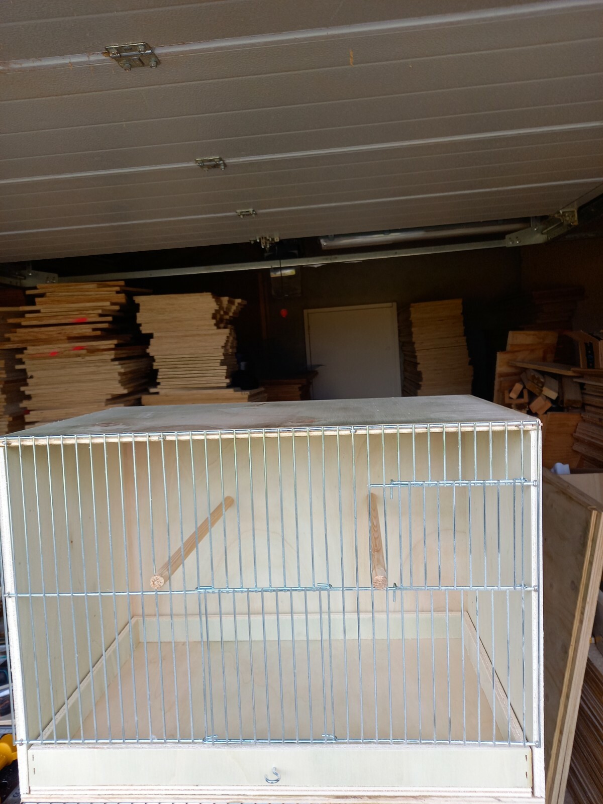Picture 2