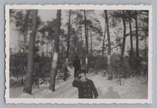 Boy with Mother Walking Forest - Perspective Shadow Winter - Photo