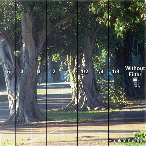 Tiffen 77mm Low Contrast 1/2 Filter 77LC12 - Image 2 of 4