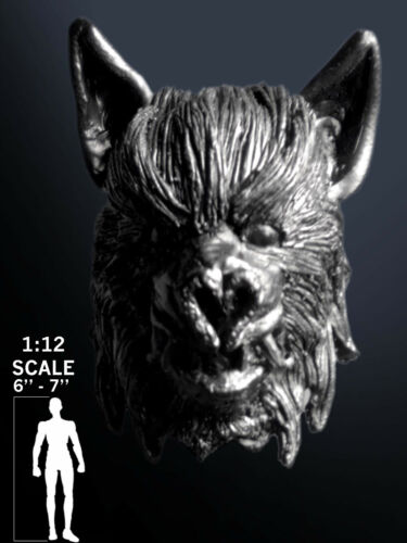 Figurine articulée personnalisée Star Wars Defel Alien moulages tête échelle 1:12 ou 6-7" - Photo 1 sur 7