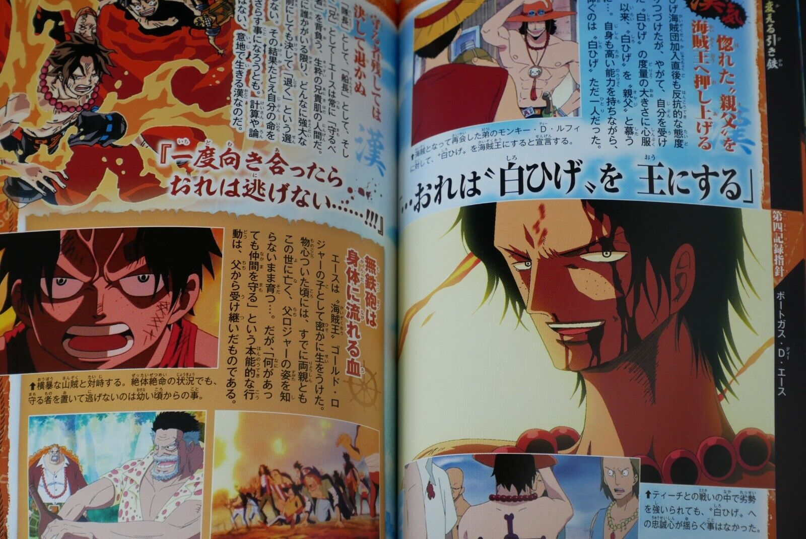 One Piece Wiki: Ultimate Guide To Popular Manga And Anime Series