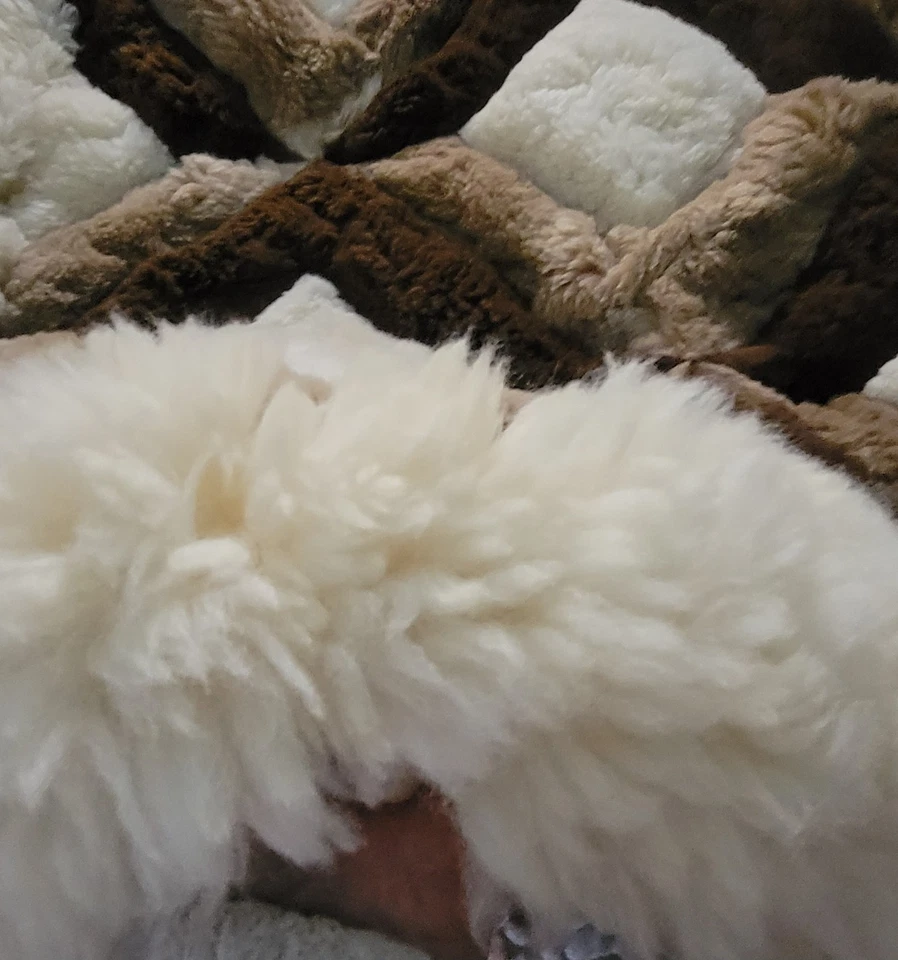 Vtg  Peruvian Geometric Alpaca Fur Peru Area Rug 60x90 Patchwork Brown White - Image 2 of 4