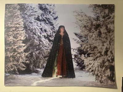 Taylor Swift Wildest Winter Evermore Lithograph Postef | eBay