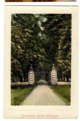 Postkarte Savernake Waldeingangstore unbespielt