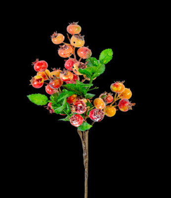 ORANGE berry picks
