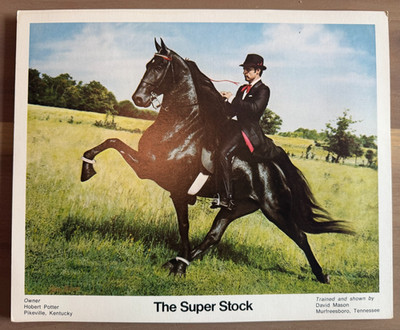 Vintage 8x10 of ''The Super Stock'' Tennessee Walking Horse