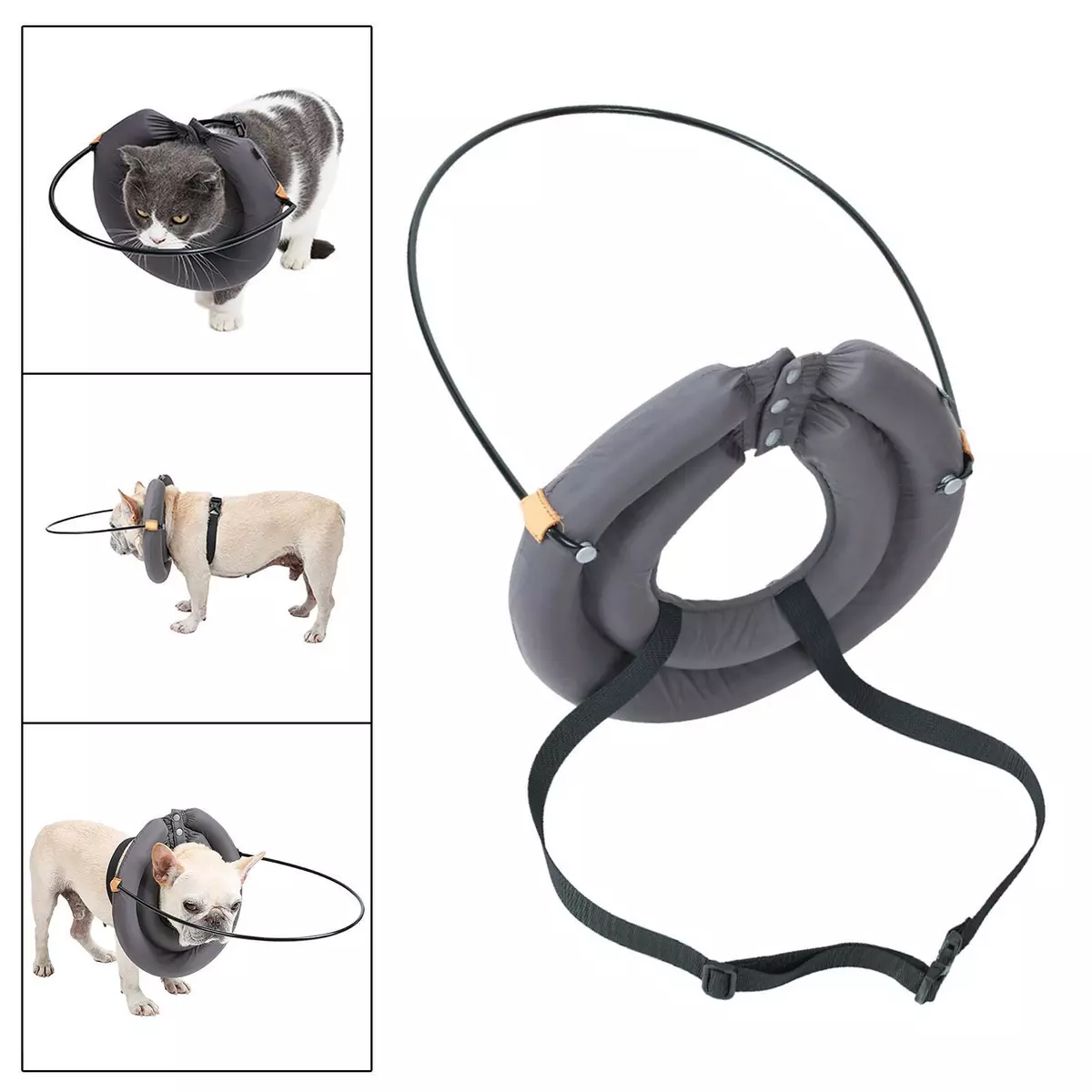 Device for cheap blind dogs