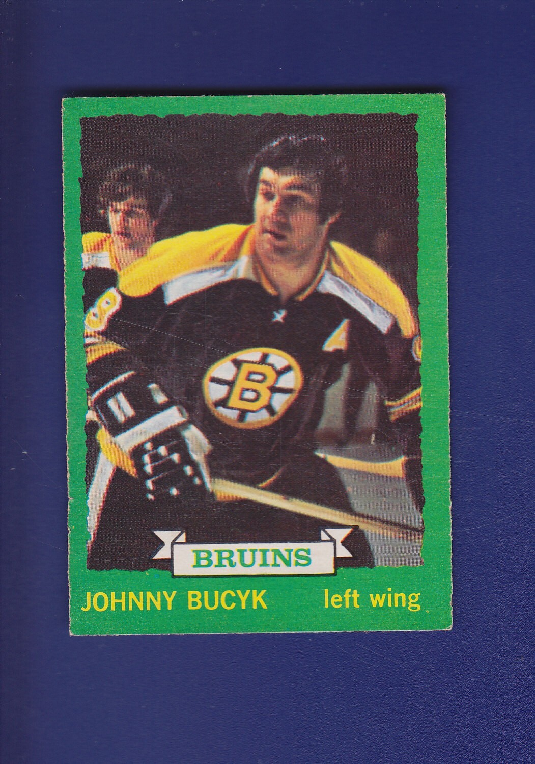 Johnny Bucyk HOF 1973-74 O-PEE-CHEE OPC NHL Hockey #147 (EX) Boston Bruins