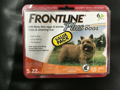 frontline plus for dogs orange
