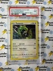 Rayquaza Holo Sea & Sky Premium Collection #029 2024 Pokemon PSA 9 142774394