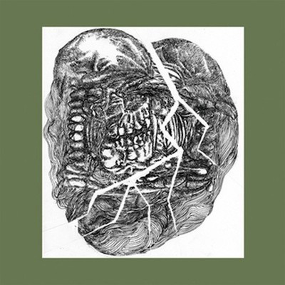 Wolf Eyes - No Answer-Lower Floors (LP, Album) 2013 (NM or M-|NM or M-)