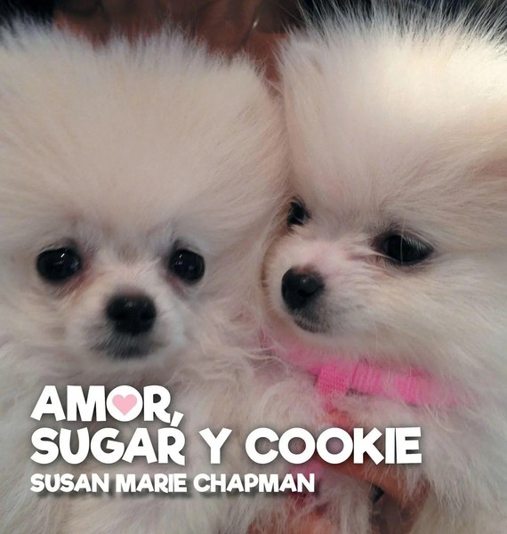Susan Marie Chapman | Amor, Sugar Y Cookie | Buch | Spanisch (2020) | Gebunden-image