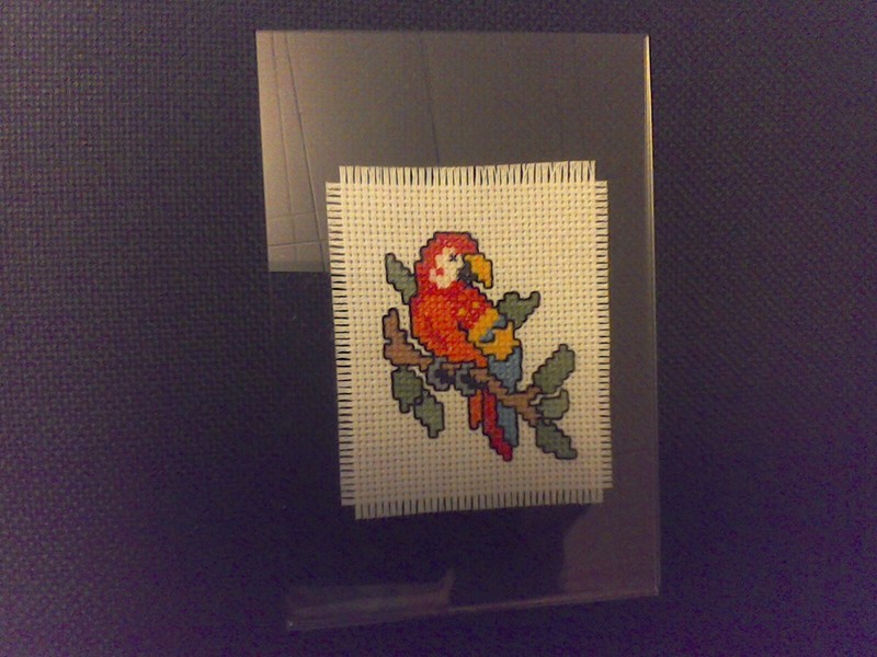 POLLY - HAND CROSS STITCHED 3 INCHES X 4 INCHES IN 4 INCH X 6 INCH CLEAR FRAME