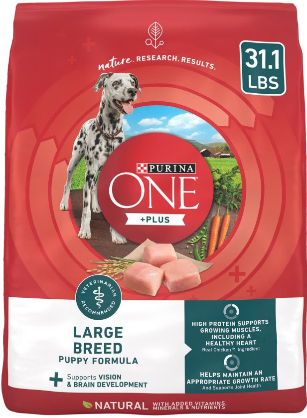 Purina ONE Plus Large Breed Puppy with Real Chicken Dry Dog Food, 31.1 lb bag