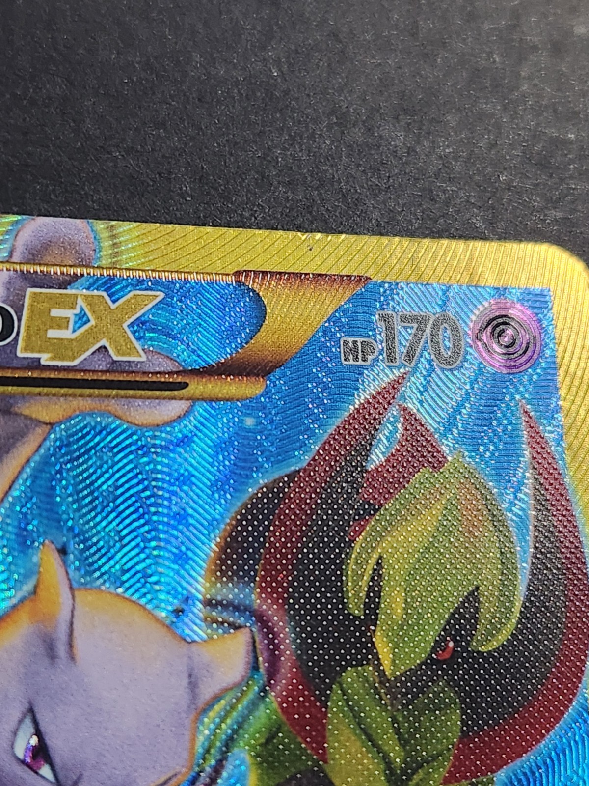 Picture 4 of 12