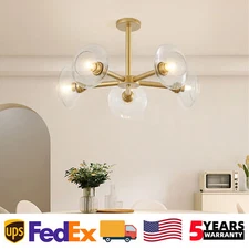 26'' 5 Light Gold Chandelier Glass Shade Ceiling Pendant Kitchen Island Fixture