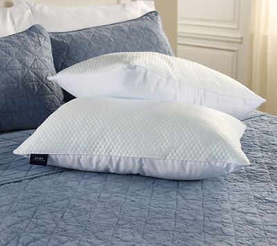 Home Reflection Set of 2 Seasonal Down Alternative Pillows- Std/QN in OPEN BOX