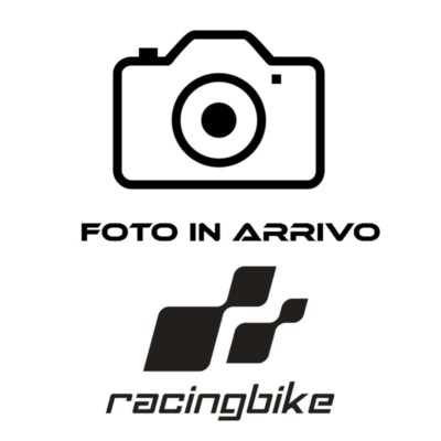 WINDSCHILD Z-RACING PUIG FUR KAWASAKI NINJA 1000 H2 SX 2020 > 2023 GRUN 21714V