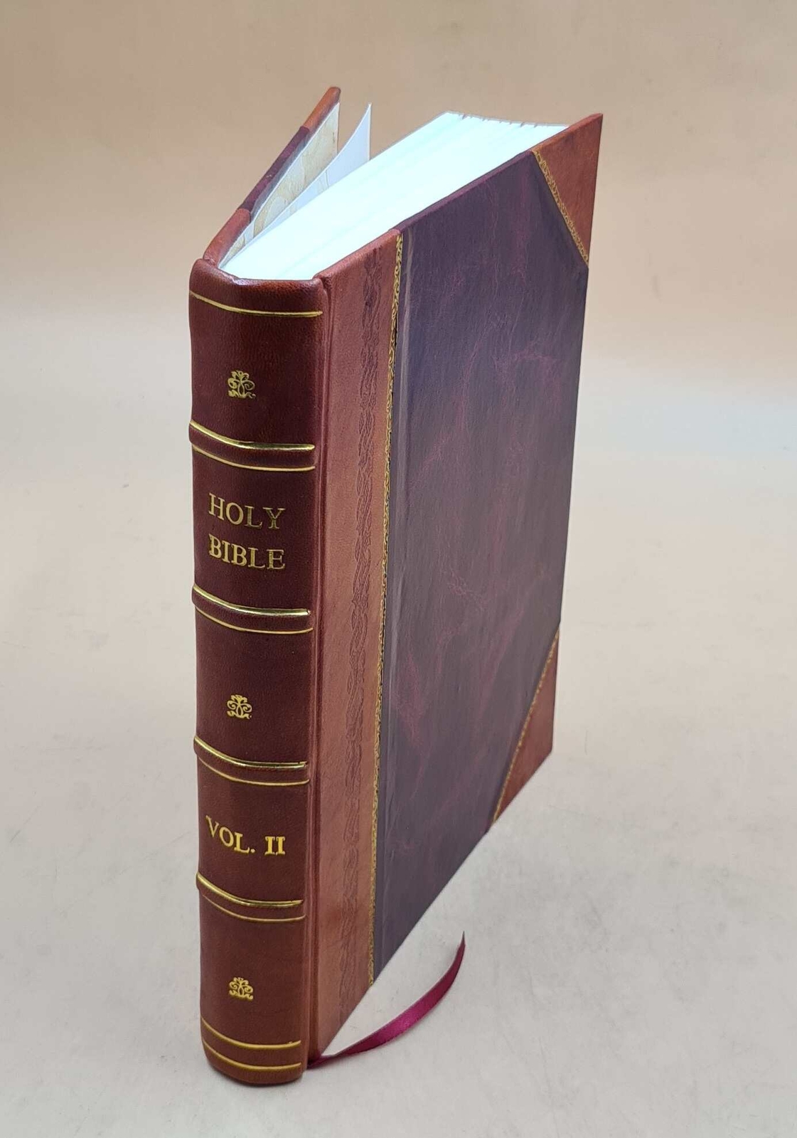 Holy Bible : With References ... Notes, And A Condensed Concorda [Leather Bound]