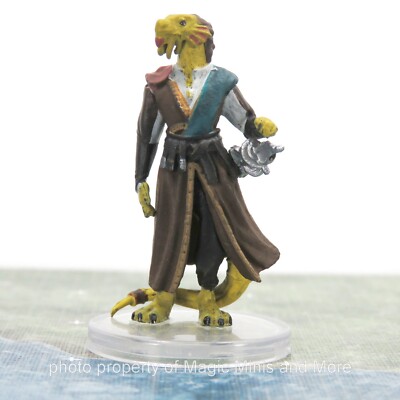 Wildemount ~ DRACONBLOOD DRAGONBORN 19 Critical Role D&D faction miniature noble