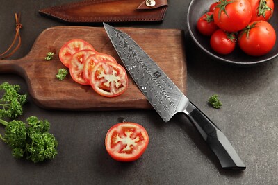 Xinzuo B32 Feng Japanese Style Chef Knife 67 Layers Damascus Steel Wickedly Shar