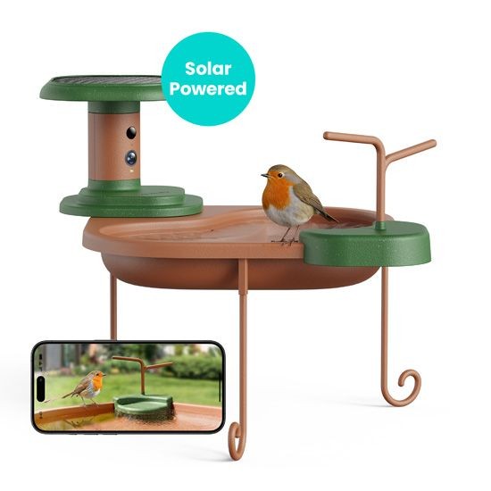 Birdbath Jolly V IA Birdfy avec reconnaissance automatique des oiseaux