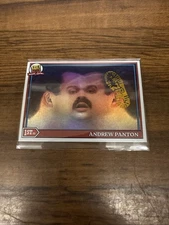 F**k Face (Regulation Podcast) Andrew Panton Trading Card VCK Gold Stamp